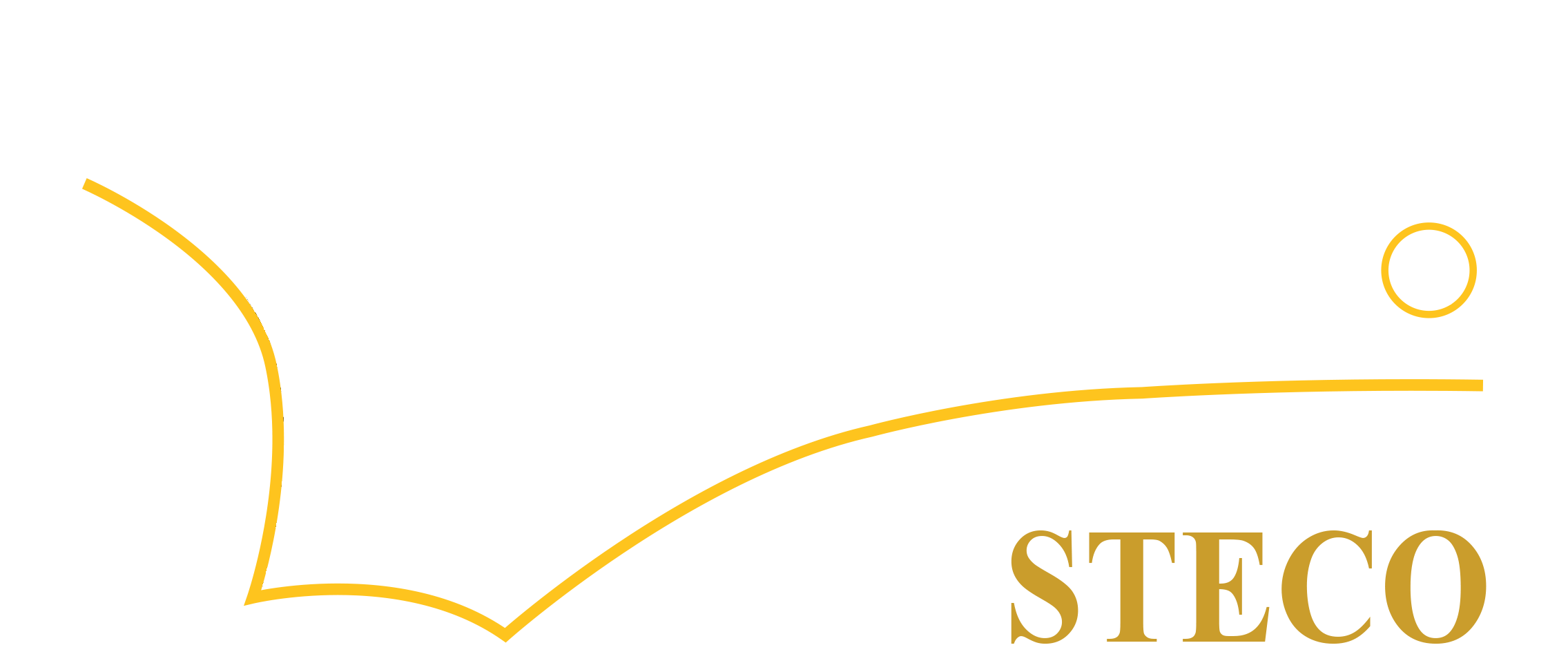 Steco